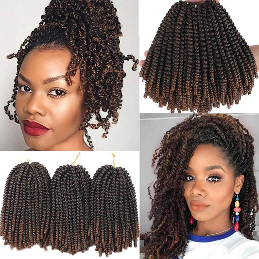 110g chemical fiber hair extensions crochet twist braids curly style short synthetic ombré coloured